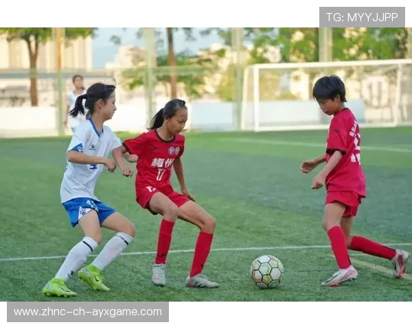 2026年篮球联赛青训营导师轮换激励机制年度总结与改进方案第5版公布
