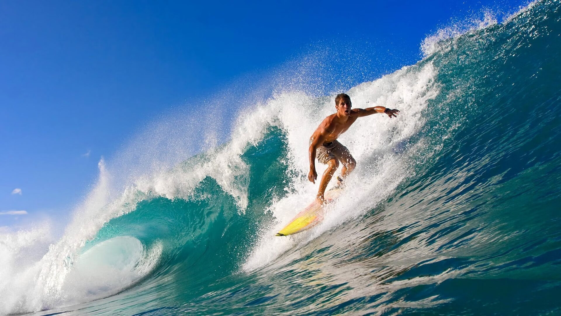 “三叉湖游泳馆：水上救生赛成世界运动会新亮点”